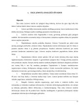Statybos sektoriaus SSGG (SWOT) analizė 15 puslapis