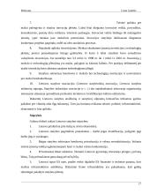 Statybos sektoriaus SSGG (SWOT) analizė 16 puslapis