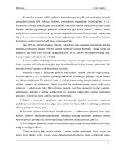 Statybos sektoriaus SSGG (SWOT) analizė 3 puslapis