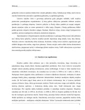 Statybos sektoriaus SSGG (SWOT) analizė 4 puslapis