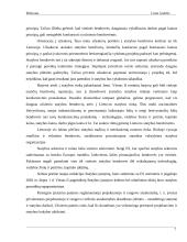 Statybos sektoriaus SSGG (SWOT) analizė 6 puslapis