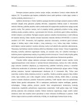 Statybos sektoriaus SSGG (SWOT) analizė 7 puslapis