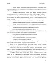 Statybos sektoriaus SSGG (SWOT) analizė 9 puslapis