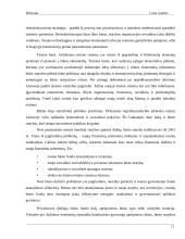 Statybos sektoriaus SSGG (SWOT) analizė 10 puslapis