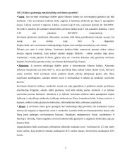 Medžiagotyra. ﻿Klausimai ir atsakymai į klausimus 5 puslapis