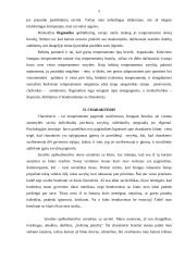 Psichologinė asmenybės analizė 5 puslapis