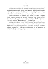 Psichologinė asmenybės analizė 10 puslapis