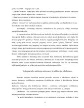 Vaikų darželio auklėtojų mokymas ir kvalifikacijos kėlimas 3 puslapis