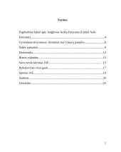 Jungtiniai Arabų Emyratai 2 puslapis