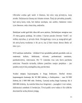 Jungtiniai Arabų Emyratai 13 puslapis