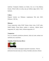 Jungtiniai Arabų Emyratai 5 puslapis