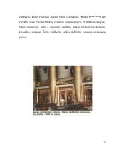 Jungtiniai Arabų Emyratai 10 puslapis