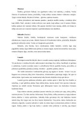 Mitinės lietuvių sakmių būtybės 6 puslapis