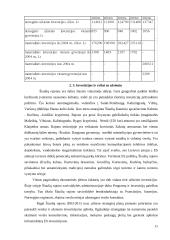 Tiesioginių užsienio investicijų į Lietuvos ūkį struktūra 11 puslapis