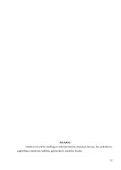 Tiesioginių užsienio investicijų į Lietuvos ūkį struktūra 12 puslapis