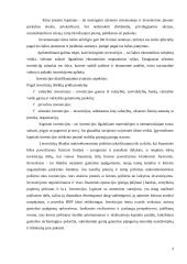 Tiesioginių užsienio investicijų į Lietuvos ūkį struktūra 3 puslapis