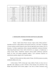 Tiesioginių užsienio investicijų į Lietuvos ūkį struktūra 7 puslapis