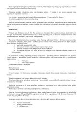 Darbo ginčai 11 puslapis