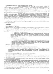 Darbo ginčai 14 puslapis