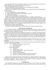 Darbo ginčai 17 puslapis