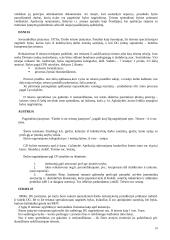 Darbo ginčai 10 puslapis