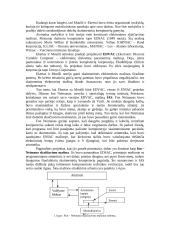 Kompiuterinės architektūros evoliucija 4 puslapis