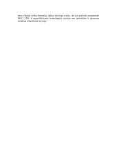 Kompiuterinės architektūros evoliucija 10 puslapis