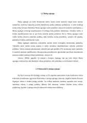 Lietuvos ekonominė integracija į ES 5 puslapis