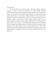 Lietuvos ekonominė integracija į ES 7 puslapis