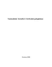 Tautosakinio bernelio ir Girdvainio lyginimas