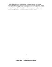 Tautosakinio bernelio ir Girdvainio lyginimas 3 puslapis