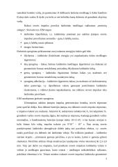 Dangų padengimas elektroimpulsinės metalizacijos metodu 3 puslapis