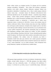 Dangų padengimas elektroimpulsinės metalizacijos metodu 7 puslapis