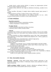Ekstremalių situacijų valdymas 7 puslapis