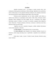 Ilgalaikio turto skirstymas, įvertinimas ir nusidėvėjimas 2 puslapis