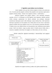 Ilgalaikio turto skirstymas, įvertinimas ir nusidėvėjimas 7 puslapis