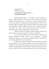 Ilgalaikio turto skirstymas, įvertinimas ir nusidėvėjimas 8 puslapis