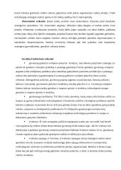 AB "Lietuvos telekomas" analizė 13 puslapis