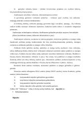 AB "Lietuvos telekomas" analizė 18 puslapis