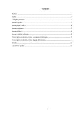 Įmonės veikla ir pelnas