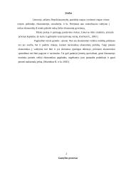 Įmonės veikla ir pelnas 2 puslapis