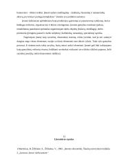 Įmonės veikla ir pelnas 12 puslapis