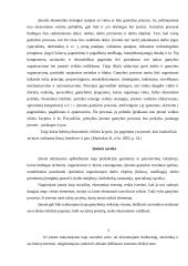 Įmonės veikla ir pelnas 3 puslapis