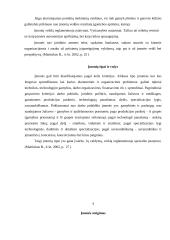 Įmonės veikla ir pelnas 4 puslapis