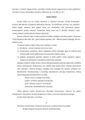 Įmonės veikla ir pelnas 6 puslapis