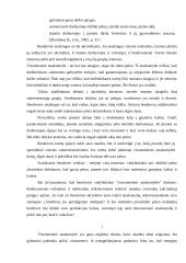 Įmonės veikla ir pelnas 7 puslapis