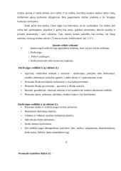 Įmonės veikla ir pelnas 8 puslapis