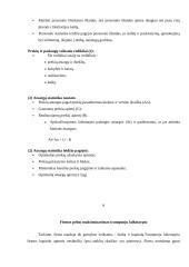 Įmonės veikla ir pelnas 9 puslapis