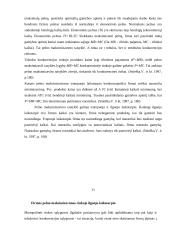 Įmonės veikla ir pelnas 10 puslapis