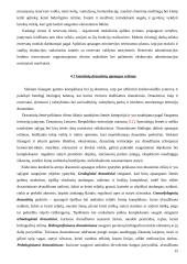 Saugomų teritorijų tipai Lietuvoje 15 puslapis